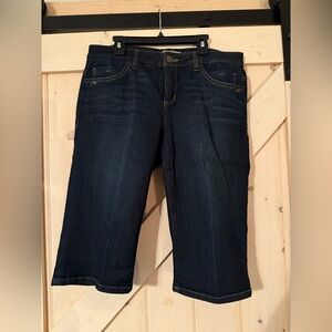 Democracy Indigo Denim Shorts Size 6